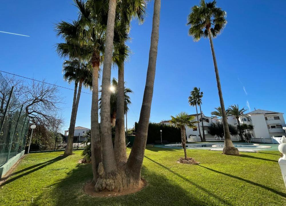 Apartamentos Cap Y Corp Alcossebre Dış mekan fotoğraf